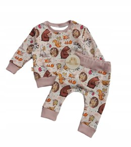 Komplet niemowlęcy bluza i spodnie 86 print pastel