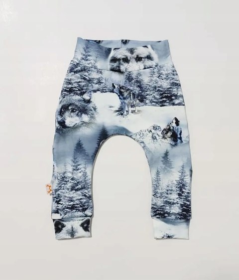 Modny dres komplet bluza spodnie 92 wilki błękit