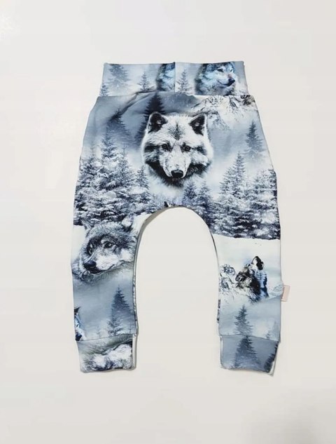 Zestaw dla chłopca bluza i spodnie wilki 86 wilk